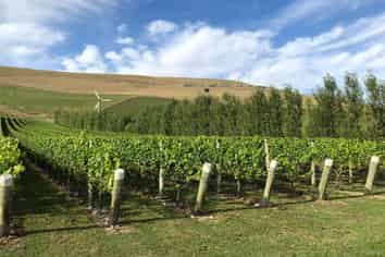 Racecourse Road, Kurow