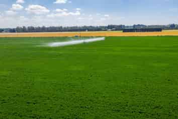  The Lake Road, Leeston