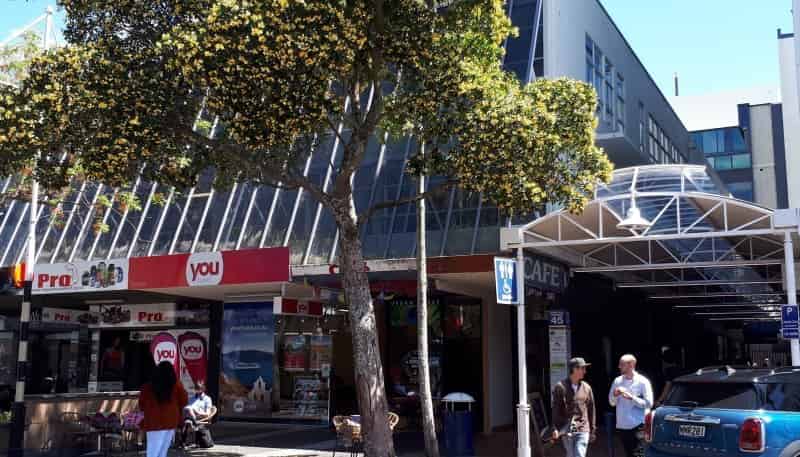 Suite 301/45 Grey Street, Tauranga Central