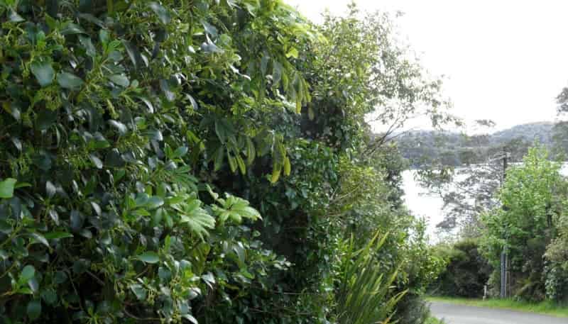 16 Petersons Hill Road, 