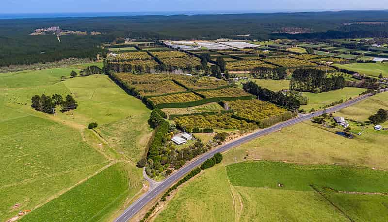 0 Corner Turk Valley Road & State Highway 1, Pukenui