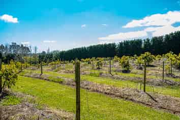 0 Corner Turk Valley Road & State Highway 1, Pukenui
