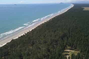  Beach Front, Matakana Island