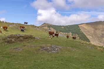  Leishman Road, Geraldine