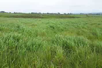 69 Hawthorne Lane, Karaka