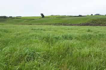 69 Hawthorne Lane, Karaka