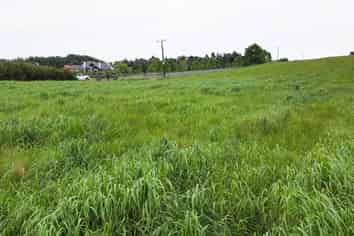 69 Hawthorne Lane, Karaka