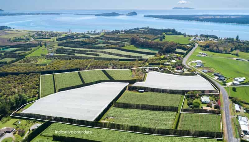 199 Ongare Point Road, Katikati