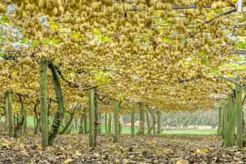 199 Ongare Point Road, Katikati