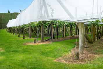 199 Ongare Point Road, Katikati