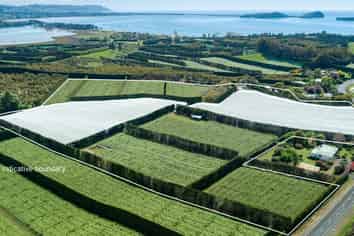 199 Ongare Point Road, Katikati