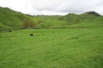 59 Tawhiwhi Road, Matau