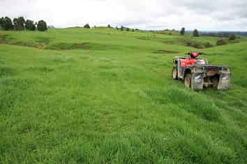 59 Tawhiwhi Road, Matau