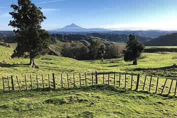 59 Tawhiwhi Road, Matau