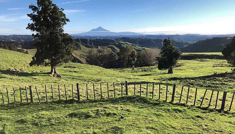 59 Tawhiwhi Road, Matau