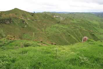 59 Tawhiwhi Road, Matau