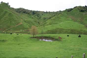 59 Tawhiwhi Road, Matau