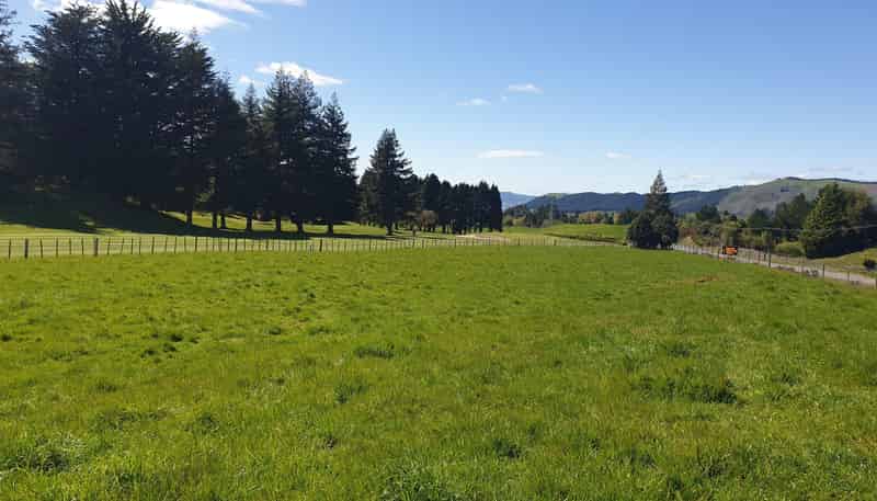  State Highway 5, Ngongotaha Valley