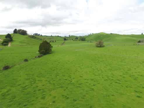 977 State Highway 1, 