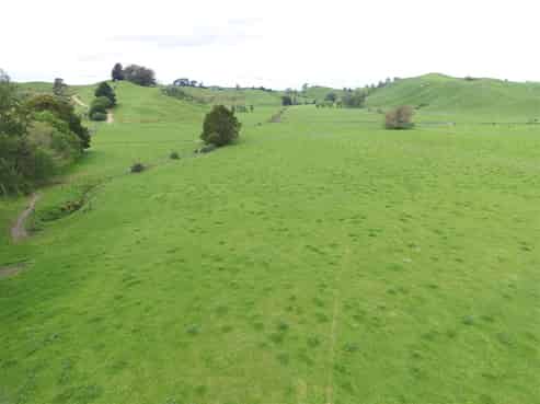 977 State Highway 1, 