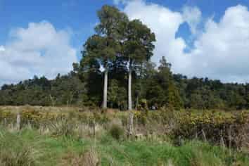  Marsden Road, Greymouth