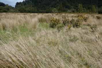  Marsden Road, Greymouth