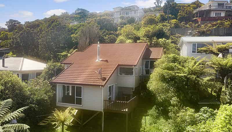 44 Bedford Street, Northland