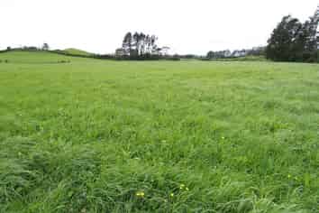 1411 Junction Road, Inglewood