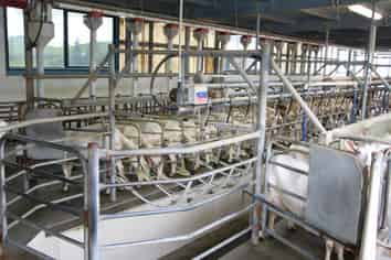 1411 Junction Road, Inglewood