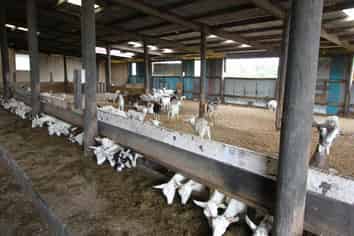 1411 Junction Road, Inglewood