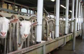 1411 Junction Road, Inglewood