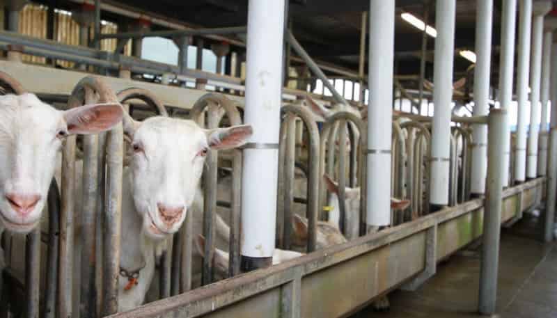 1411 Junction Road, Inglewood