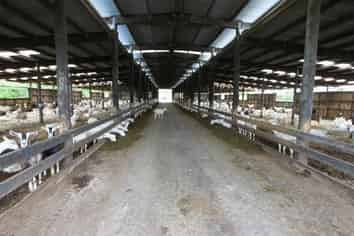 1411 Junction Road, Inglewood