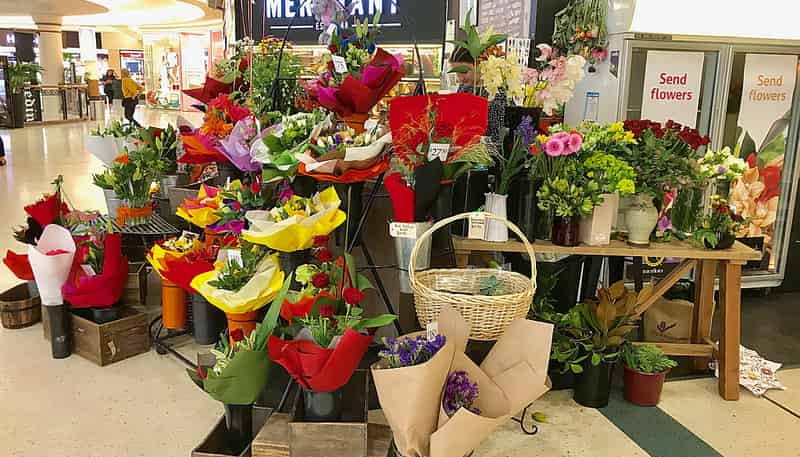 285 Meridian Mall, George Street, Dunedin Central