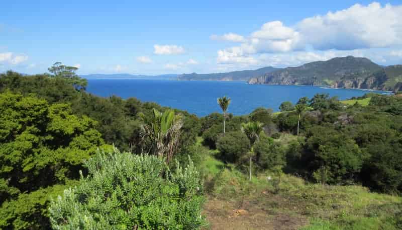 Lot 3 74B Waihirere Drive, Coromandel