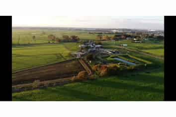 251 Collins Road, Hamilton Central