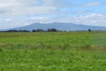 251 Collins Road, Hamilton Central