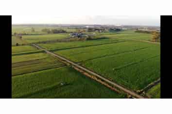 251 Collins Road, Hamilton Central