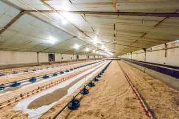 71 Douglas Road, Waiuku