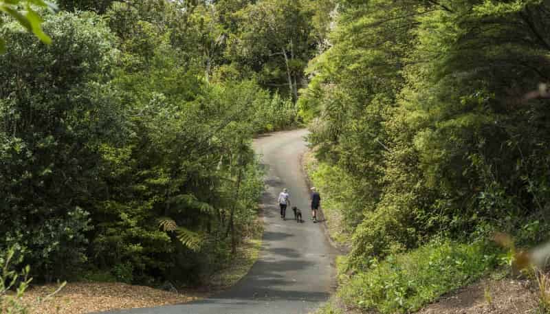 31,74 Karahiwi Lane, 