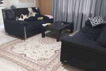 50 Waipa Street, Birkenhead