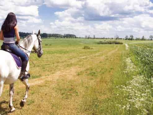  Lake Hood Drive, Huntingdon/Lake Hood