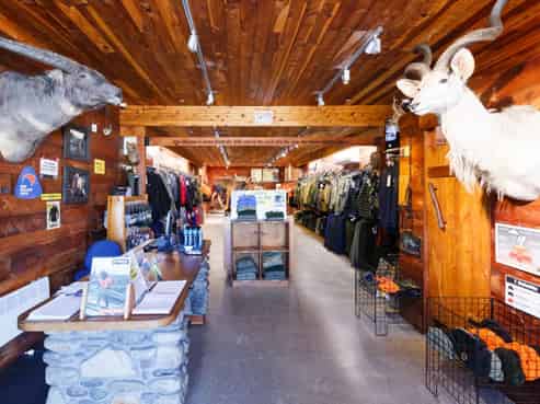 Investment opportunity - global brand as tenant