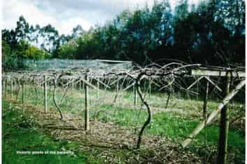 378 Pakaru Road, Kawakawa