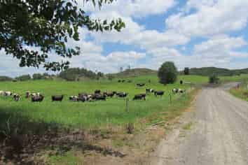 2230 Pokairoa Road, Galatea