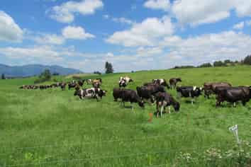 2230 Pokairoa Road, Galatea