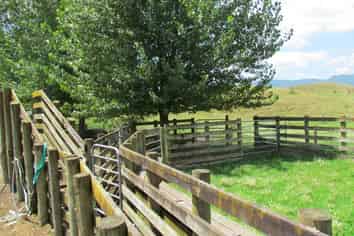 2230 Pokairoa Road, Galatea