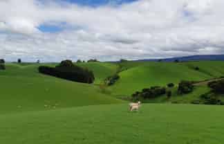  1947 Tuapeka West Road, 