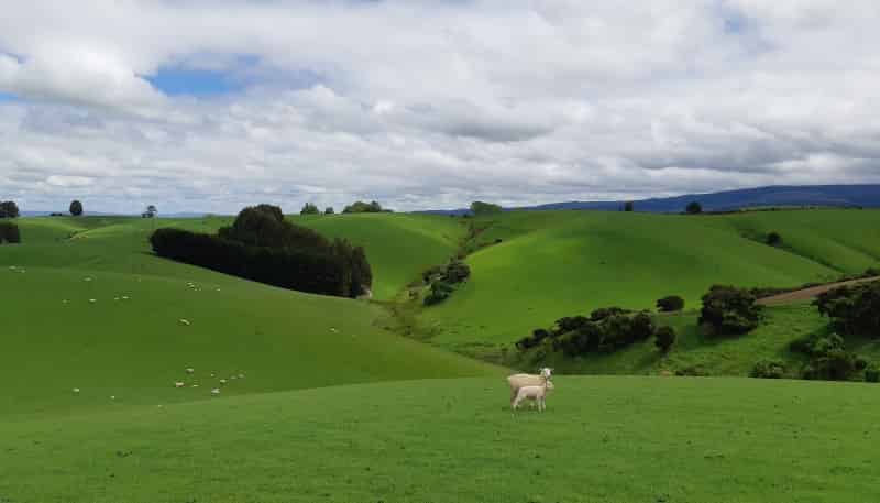  1947 Tuapeka West Road, 