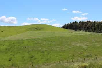 Lot 11 Mangatarata Road, Waipukurau and Surrounds